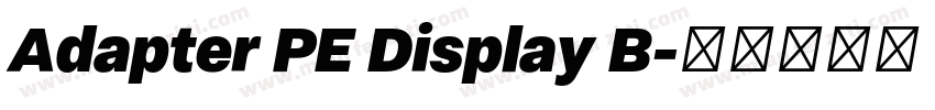 Adapter PE Display B字体转换